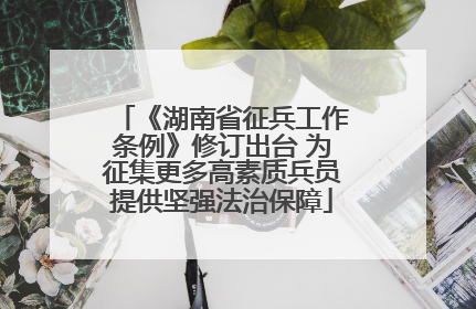 《湖南省征兵工作条例》修订出台 为征集更多高素质兵员提供坚强法治保障