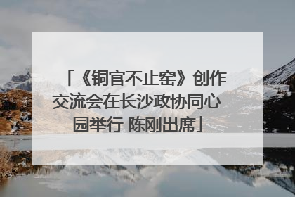 《铜官不止窑》创作交流会在长沙政协同心园举行 陈刚出席