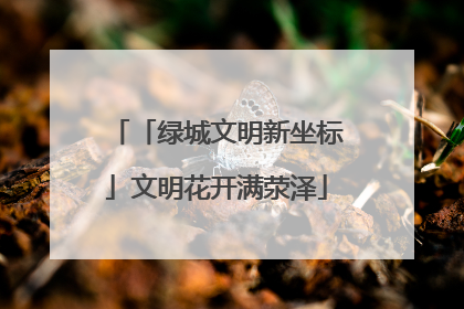 「绿城文明新坐标」文明花开满荥泽