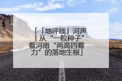 「地评线」河声丨从“一粒种子”看河南“两高四着力”的落地生根