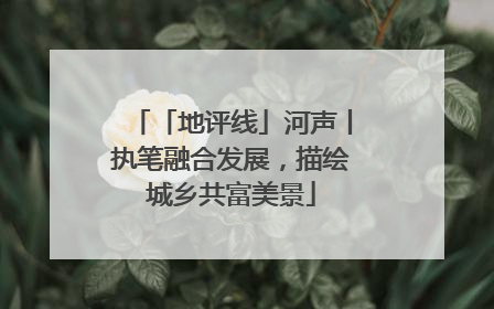 「地评线」河声丨执笔融合发展，描绘城乡共富美景