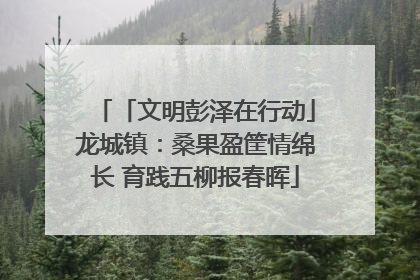 「文明彭泽在行动」龙城镇：桑果盈筐情绵长 育践五柳报春晖