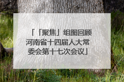 「聚焦」组图回顾河南省十四届人大常委会第十七次会议