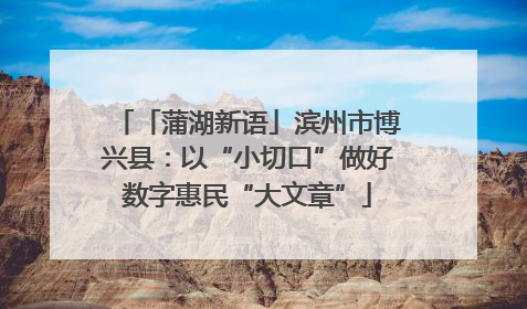 「蒲湖新语」滨州市博兴县：以“小切口”做好数字惠民“大文章”