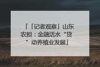 「记者观察」山东农担：金融活水“贷”动养殖业发展