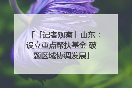 「记者观察」山东：设立重点帮扶基金 破题区域协调发展