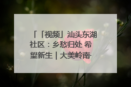 「视频」汕头东湖社区：乡愁归处 希望新生｜大美岭南·百村焕新记