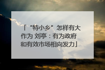 “特小乡”怎样有大作为 刘亭：有为政府和有效市场相向发力
