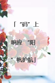 “码”上响应 “阳”帆护航