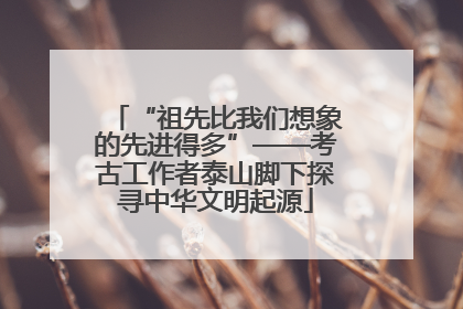 “祖先比我们想象的先进得多”——考古工作者泰山脚下探寻中华文明起源