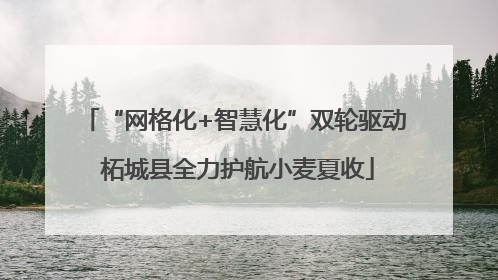 “网格化+智慧化”双轮驱动 柘城县全力护航小麦夏收