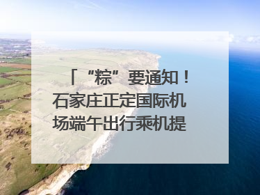 “粽”要通知！石家庄正定国际机场端午出行乘机提示，快来get