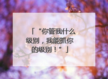 “你管我什么级别，我能抓你的级别！”