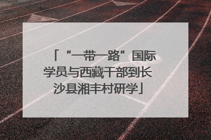 “一带一路”国际学员与西藏干部到长沙县湘丰村研学