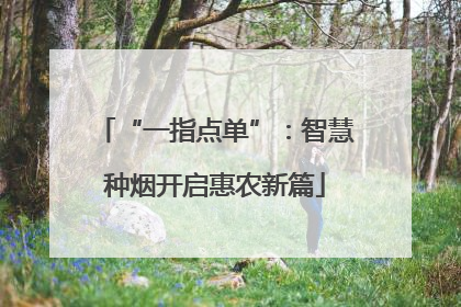 “一指点单”：智慧种烟开启惠农新篇