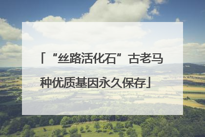 “丝路活化石”古老马种优质基因永久保存