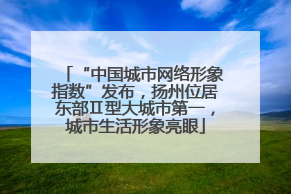 “中国城市网络形象指数”发布，扬州位居东部Ⅱ型大城市第一，城市生活形象亮眼