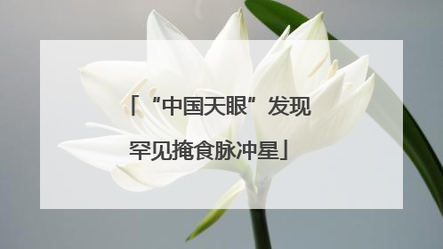 “中国天眼”发现罕见掩食脉冲星
