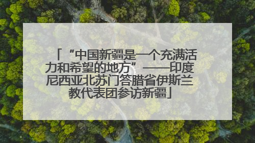 “中国新疆是一个充满活力和希望的地方”——印度尼西亚北苏门答腊省伊斯兰教代表团参访新疆