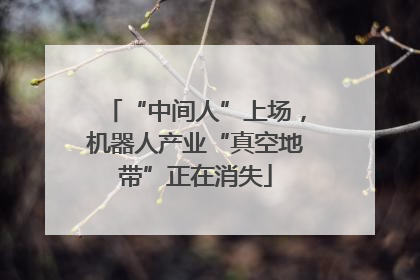 “中间人”上场，机器人产业“真空地带”正在消失