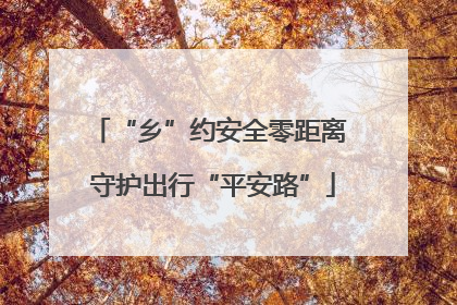 “乡”约安全零距离 守护出行“平安路”