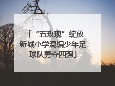 “五玫瑰”绽放 新城小学混编少年足球队勇夺四强