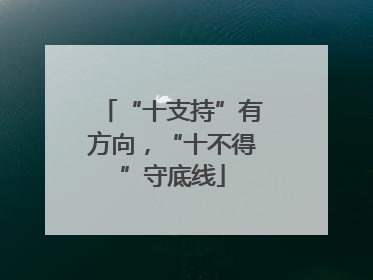 “十支持”有方向，“十不得”守底线