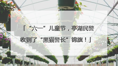 “六一”儿童节，亭湖民警收到了“黑猫警长”锦旗！