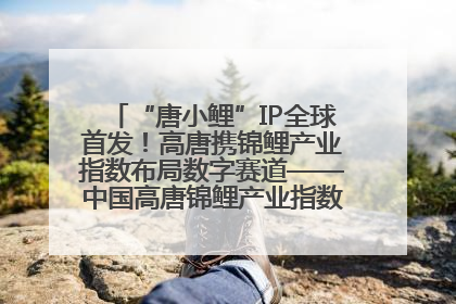 “唐小鲤”IP全球首发！高唐携锦鲤产业指数布局数字赛道——中国高唐锦鲤产业指数暨“唐小鲤”IP全球首发仪式在杭州举行