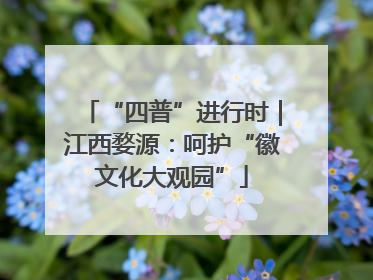“四普”进行时｜江西婺源：呵护“徽文化大观园”