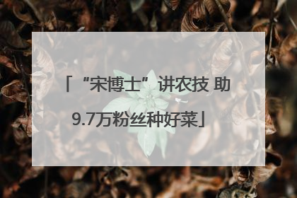 “宋博士”讲农技 助9.7万粉丝种好菜