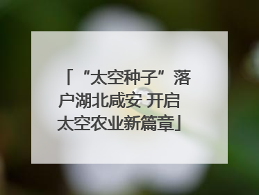 “太空种子”落户湖北咸安 开启太空农业新篇章