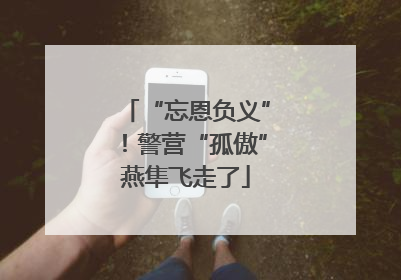 “忘恩负义”！警营“孤傲”燕隼飞走了