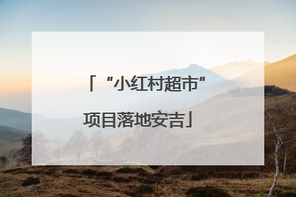 “小红村超市”项目落地安吉