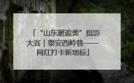 “山东邂逅美”摄影大赛｜泰安西岭巷——网红打卡新地标