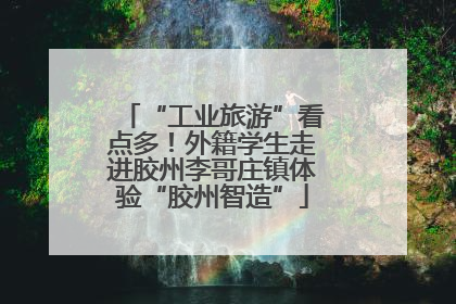 “工业旅游”看点多！外籍学生走进胶州李哥庄镇体验“胶州智造”