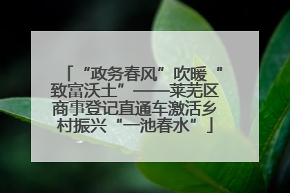 “政务春风”吹暖“致富沃土”——莱芜区商事登记直通车激活乡村振兴“一池春水”