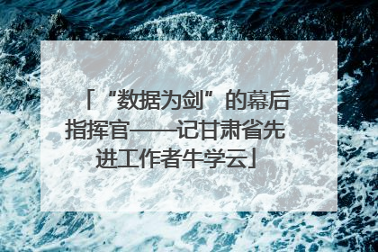 “数据为剑”的幕后指挥官——记甘肃省先进工作者牛学云