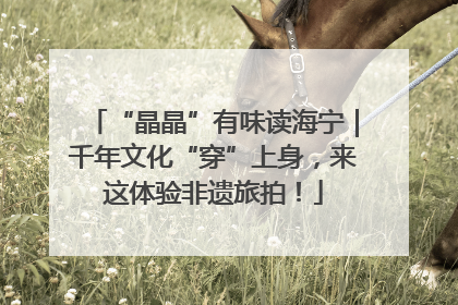 “晶晶”有味读海宁｜千年文化“穿”上身，来这体验非遗旅拍！