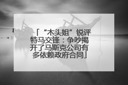 “木头姐”锐评特马交锋：争吵揭开了马斯克公司有多依赖政府合同