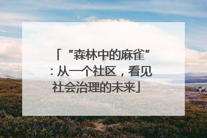 “森林中的麻雀”：从一个社区，看见社会治理的未来