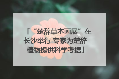 “楚辞草木画展”在长沙举行 专家为楚辞植物提供科学考据
