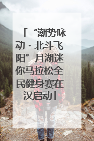 “潮势咏动・北斗飞阳”月湖迷你马拉松全民健身赛在汉启动
