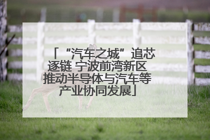 “汽车之城”追芯逐链 宁波前湾新区推动半导体与汽车等产业协同发展