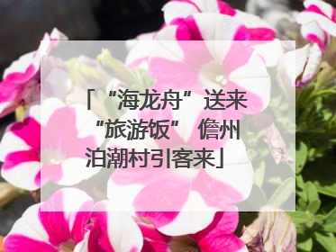 “海龙舟”送来“旅游饭” 儋州泊潮村引客来