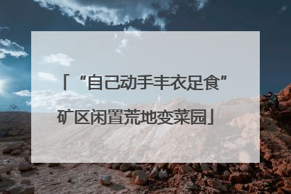 “自己动手丰衣足食”矿区闲置荒地变菜园