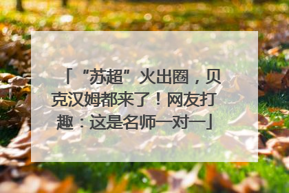 “苏超”火出圈，贝克汉姆都来了！网友打趣：这是名师一对一