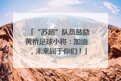 “苏超”队员鼓励黄桥足球小将：加油，未来属于你们！