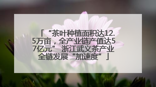 “茶叶种植面积达12.5万亩，全产业链产值达57亿元” 浙江武义茶产业全链发展“加速度”