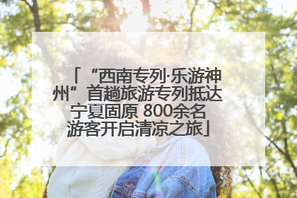 “西南专列·乐游神州”首趟旅游专列抵达宁夏固原 800余名游客开启清凉之旅